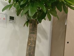 -嘉悦丽格眼科(丰联广场店)