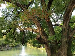 -西溪国家湿地公园