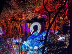 -惠州西湖风景名胜区-丰渚园