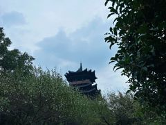 -杭州半山国家森林公园