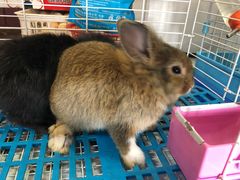 -呼吸森林·生态农庄农家乐私房菜