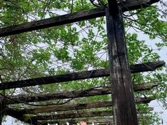 -圩墩遗址公园