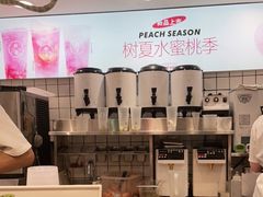 -树夏(建设路店)