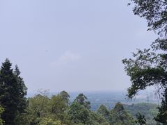 -老君山