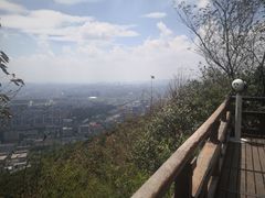 -杭州半山国家森林公园