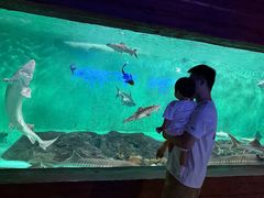 -太平洋海底世界