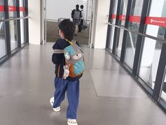 -上海浦东国际机场-T2航站楼