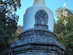 -大觉寺-停车场