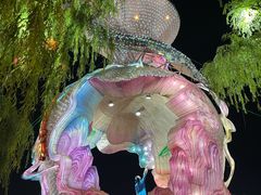 -淄博花灯齐彩城