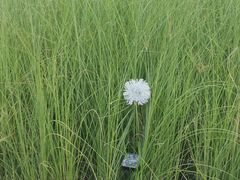 -中国杭州低碳科技馆