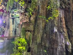-正佳雨林生态植物园