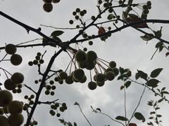 -九里河湿地公园