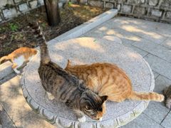 -四门塔风景区