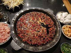 -重庆海昌加勒比海水世界