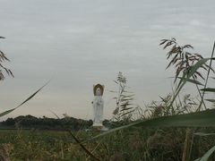 -白洋淀景区