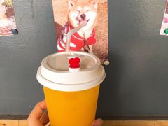 -柴犬高等学院·狗咖·柴犬售卖·宠物训练