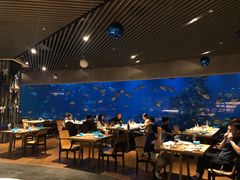 -海棠湾洲际-涛·海底餐厅·美人鱼·自助餐·海底隧道