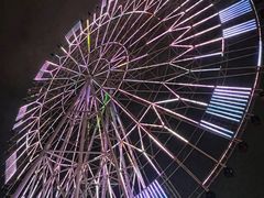 游乐设施-南昌之星摩天轮