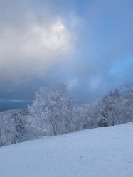 -大秃顶子山