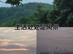 -火炉山森林公园