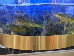 -蛙一刀·麻椒鱼火锅(金仙桥店)