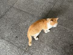 -厦门国家会计学院
