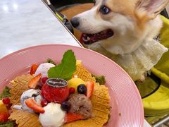 -哈根达斯(青岛海信店)
