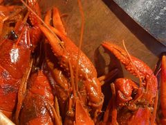 -老佛爷铜炉蛙锅(东门老街店)