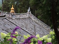 -寂照庵