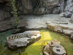 -泉城欧乐堡海洋极地世界