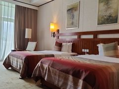 -雅安楠水阁温泉酒店