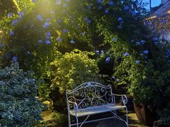 -凤来栖·净庭院·火锅(欧尚店)