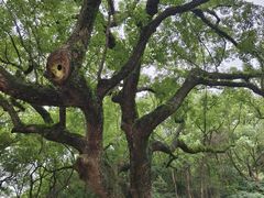 -宁波市保国寺古建筑博物馆