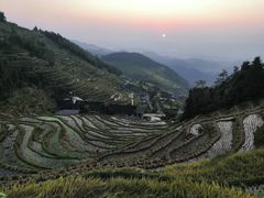 -紫鹊界梯田景区