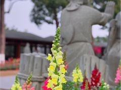 -仙岳公园