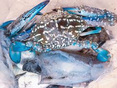 -一品格美术·中考高中成人美术培训