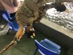 -会江钓鱼钓虾烧烤场