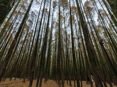-山王坪喀斯特国家生态公园