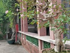 -东莞市可园博物馆