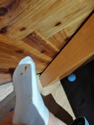 -幻贝家儿童乐园(苏州中心店)