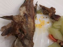 -沈阳和平艾美酒店新食谱西餐厅