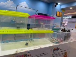 -钓虾工场·钓虾·赶海(回龙观店)