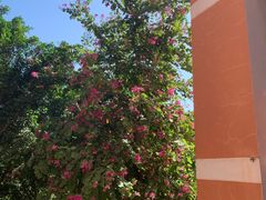 -恩宁刘福记(东华东路店)