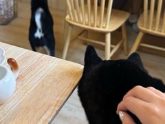 -柴の食堂·日式家庭料理·熊之肆(大学路店)