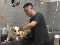 -宠物梦想家(日月豪庭店)