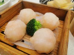 -龙的酒楼·手工早茶·顺德菜(近良路店)