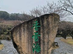 -香雪海