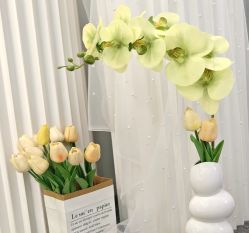 -YooMee优美智能科技美肤机构