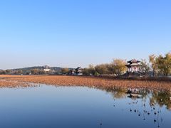 -颐和园