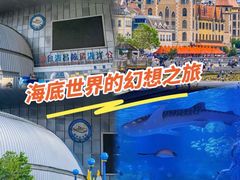 -烟台海昌鲸鲨海洋公园